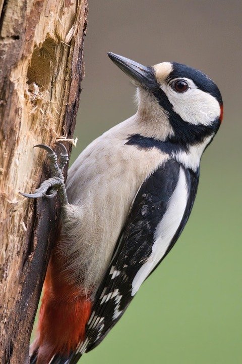wildlife photography trips