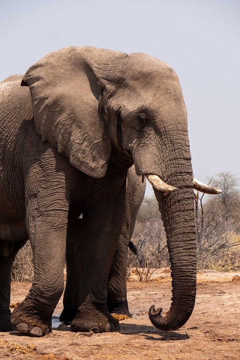 african safari destinations