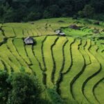 vietnam 2 week itinerary