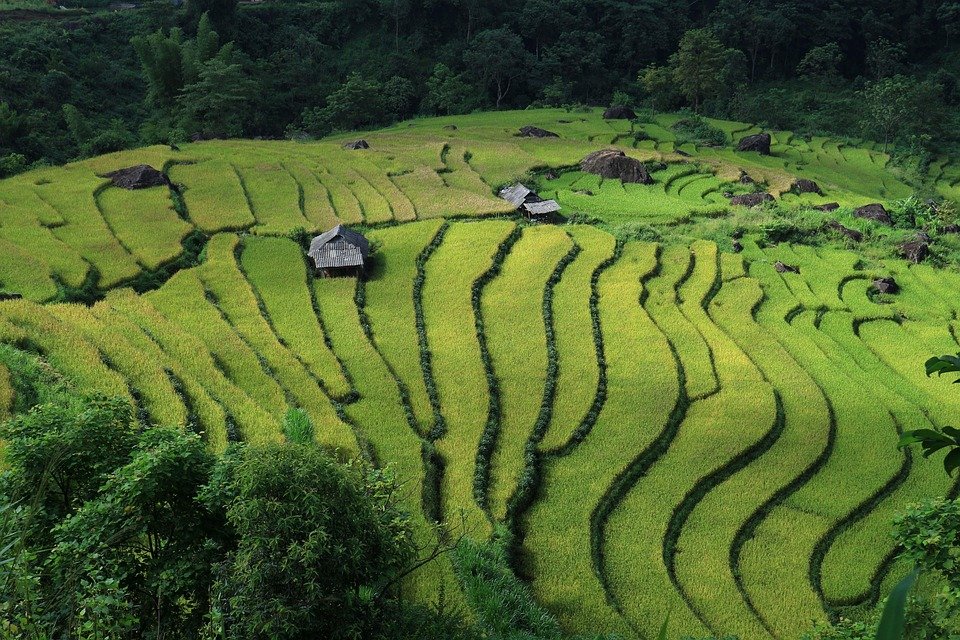 vietnam 2 week itinerary