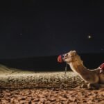 dubai travel blog