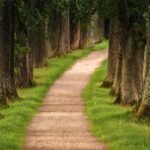 hiking trails worldwide