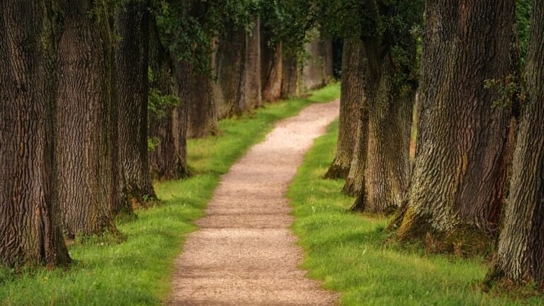 hiking trails worldwide