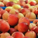 food markets to explore