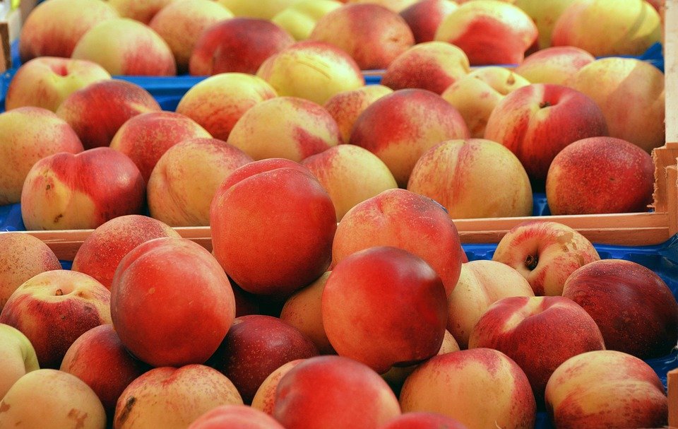 food markets to explore