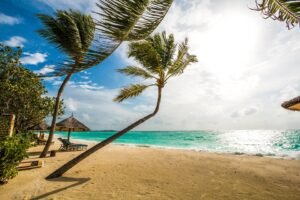 maldives travel guide