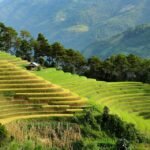 eco-friendly travel tips