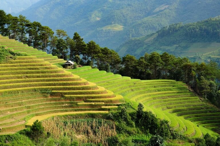 eco-friendly travel tips