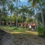 rainforest travel destinations