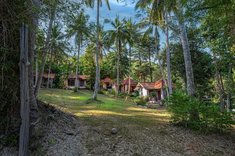 rainforest travel destinations