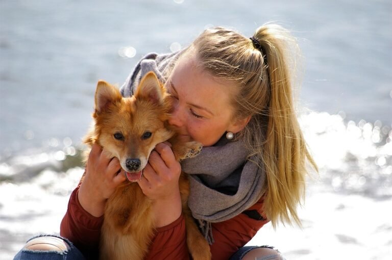 travel with pets tips