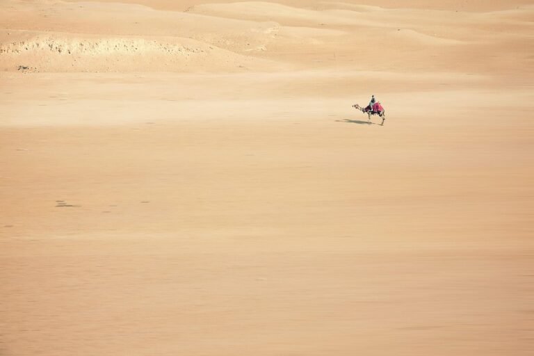 desert adventures