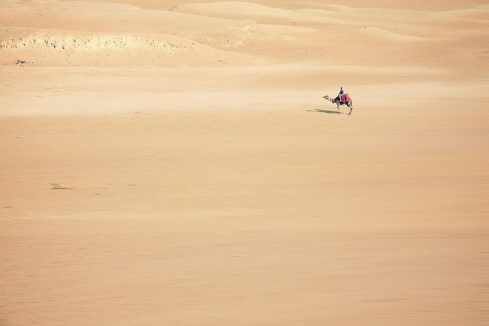 desert adventures