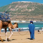 obraz_Hotel_Atlas_Amadil_Beach_4
